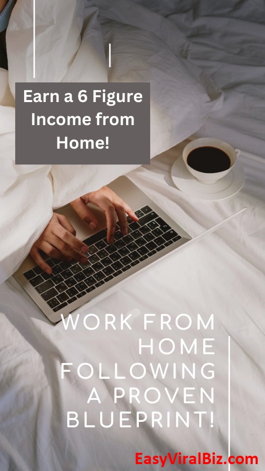 Earn a Six Figure Income From Home